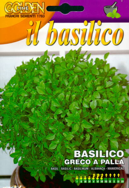 Sweet basil "Greco a Palla" (compact)