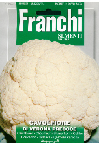 Cauliflower "Di Verona Precoce"