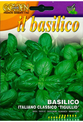 Basil ''Italiano classico Tigullio"