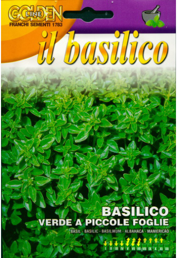 Basil ''Verde a Piccole Foglie" (small leaves)