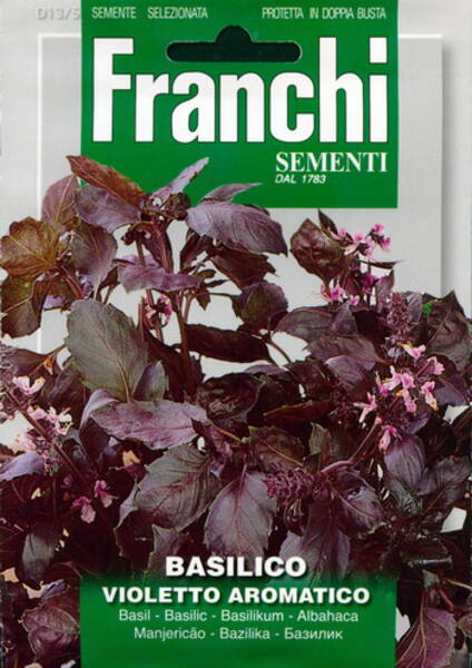 Basiilik "Violetto Aromatico"