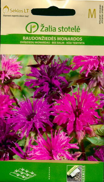 Beebalm (bergamot mix) 