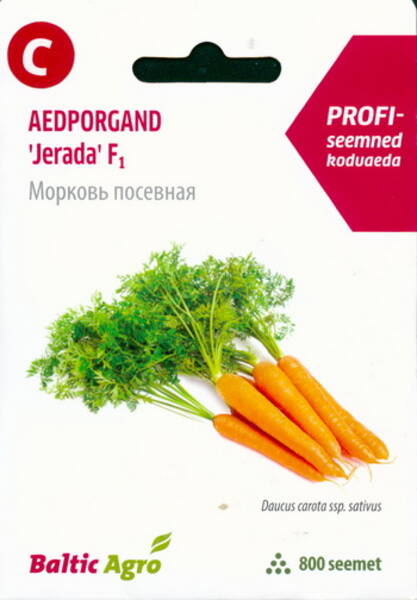 Carrot "Jerada" F1