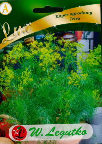 Dill "Tetra"