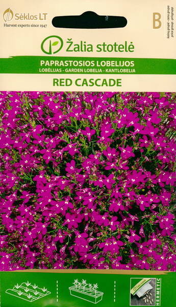 Riippalobelia "Red Cascade"