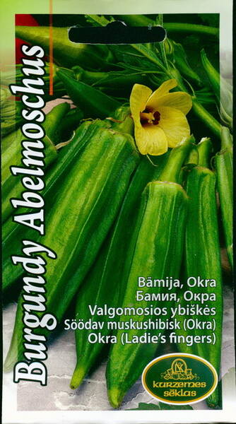 Baamia "Burgundy Abelmoschus" (okra, söödav muskushibisk)