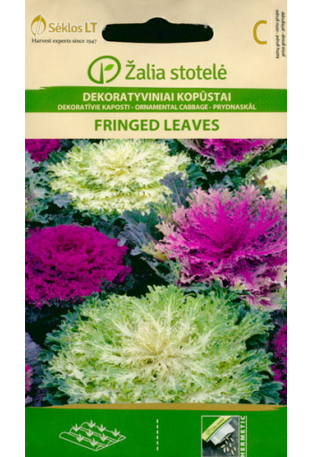 Ornamental cabbage​​​​​​​ "Fringed leaves" F1