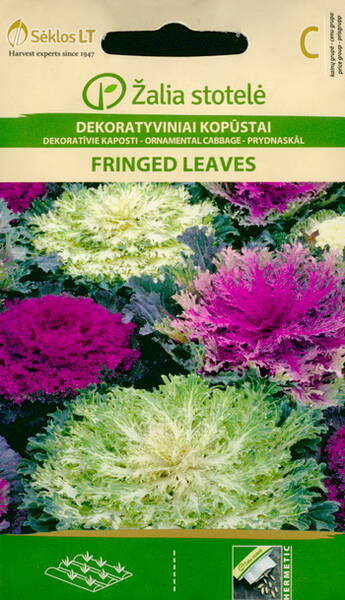 Dekoratiivne kapsas "Fringed leaves" F1 