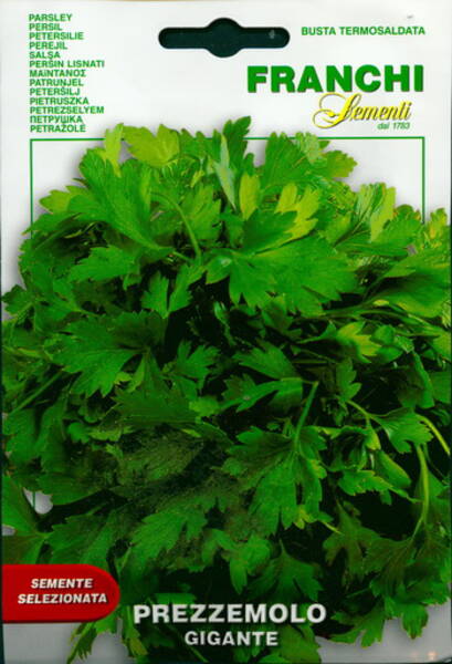 Leaf parsley "Gigante di Napoli"