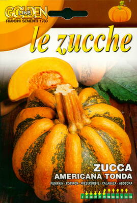 Squash "Americana Tonda"