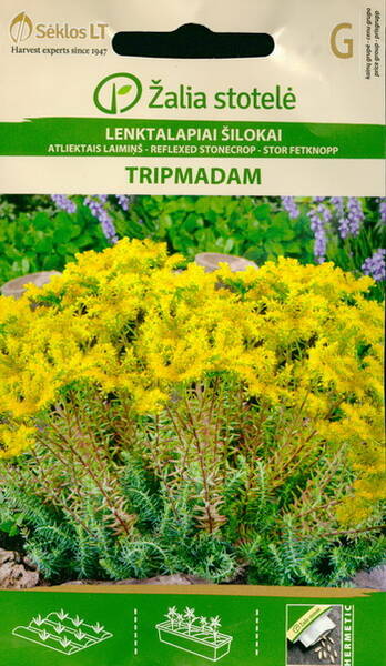 Kalju-kukehari "Tripmadam"