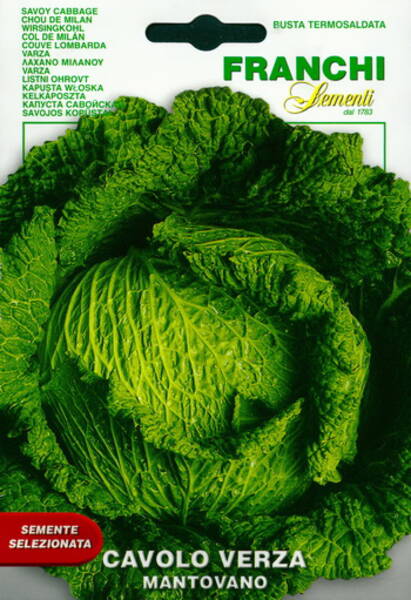 Col rizada "Mantovano"