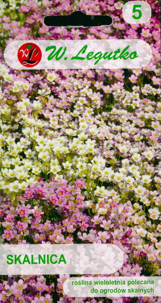 Mossy Saxifrage (mix of colours)