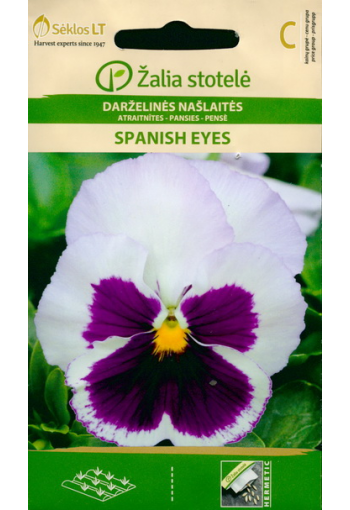 Pancy "Spanish Eyes"