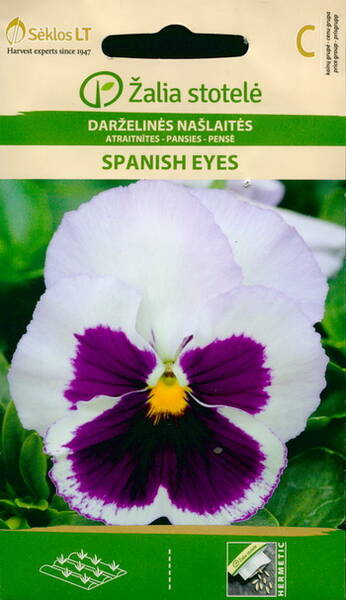 Pansy "Spanish Eyes"