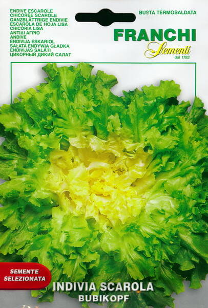 Endive escarole "Bubikopf"