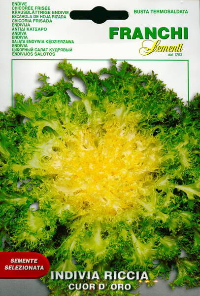 Endivie "Cuor d'Oro"
