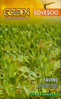 Field bean "Favino" (green manure)