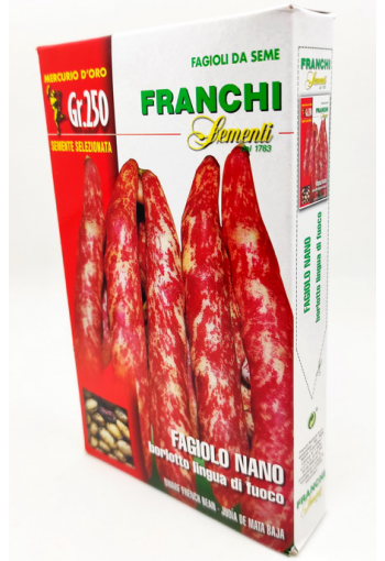Dwarf french bean "Borlotto lingua di fuoco nano" (250,0 g)