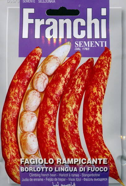 Climbing Bean "Borlotto lingua di Fuoco"