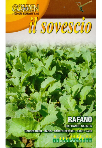 Oilseed horseradish "Rafano" (green manure)