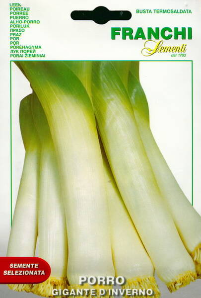 European leek "Geant d hiver 2"