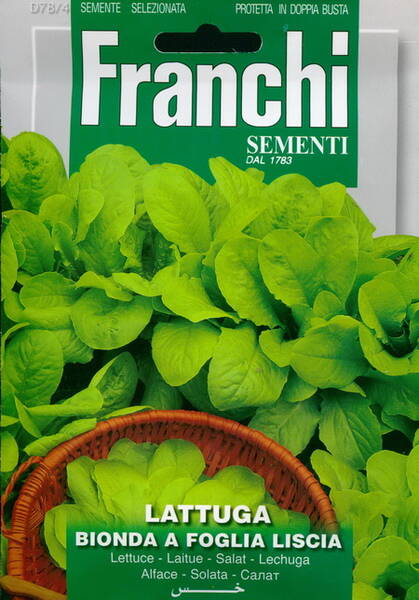 Lettuce "Bionda a Foglia liscia"