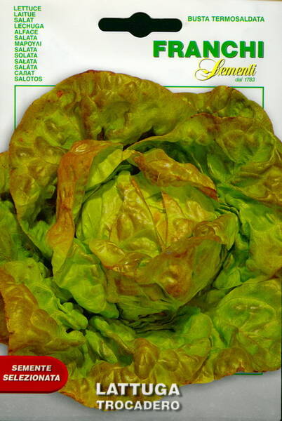 Salat "Trocadero"