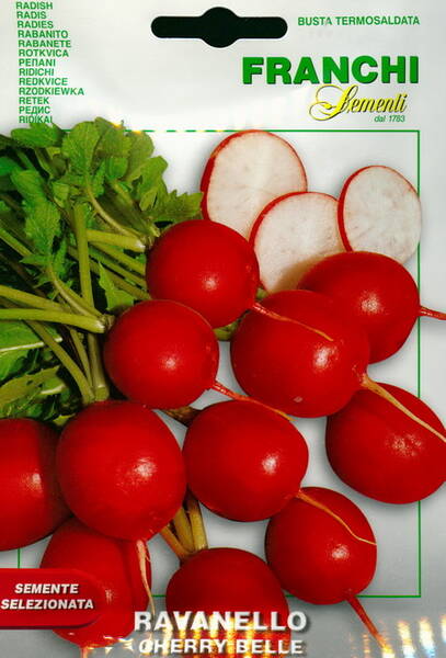 Radish "Cherry Belle"