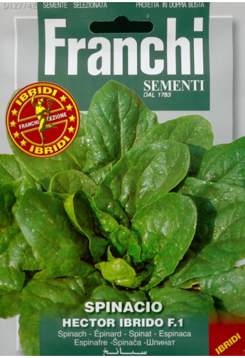 Spinach "Hector" F1