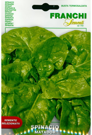 Spinach "Matador"