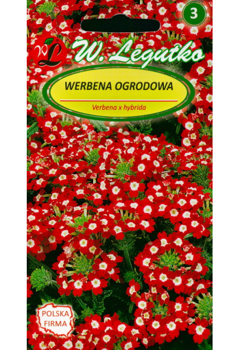 Vervain "Red-white"