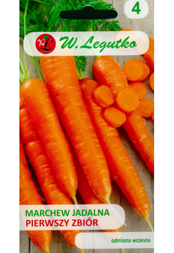 Carrot "Pierwszy zbior" (First harvest)