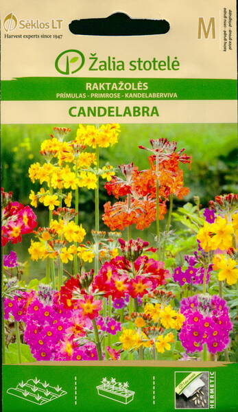 Trädgårdsviva (Candelabra hybrids) mix