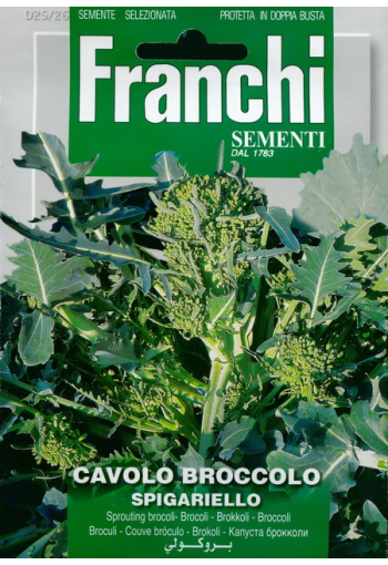 Broccolirybs "Spigariello"