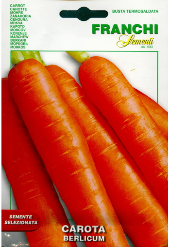 Морковь "Берликум 2"