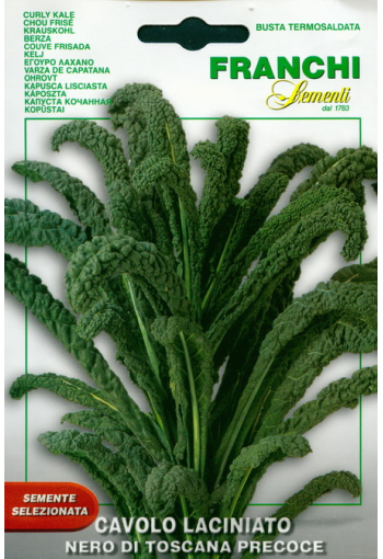 Kale "Nero di Toscana precoce"