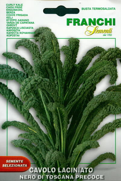 Kale "Nero di Toscana precoce"