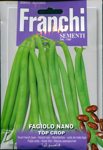 Dwarf french bean "Top Crop"