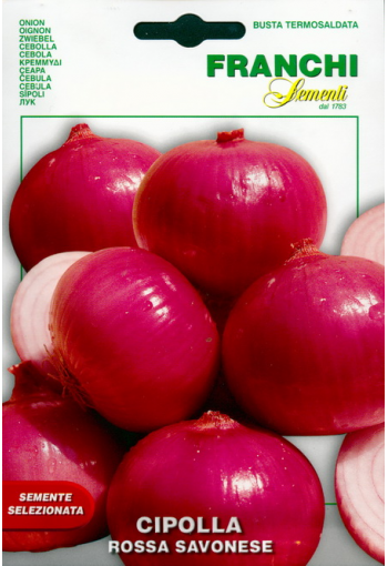 Onion "Rossa Savonese"