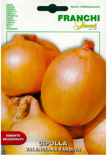 Onion "Valenciana Tardiva"