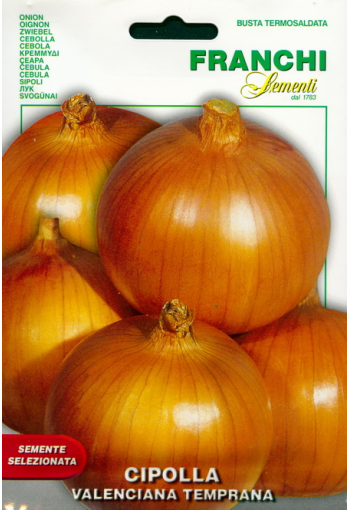 Onion "Valenciana Temprana"