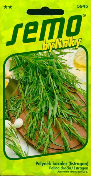 Russian tarragon "King of Herbs" (Tarhun)