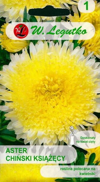 Aster "Yellow Princess"