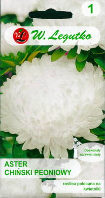 Aster pojengikujuline "White"