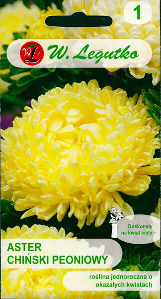 Aster "Paeony Yellow"