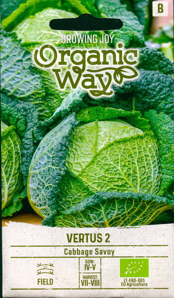 Savoy cabbage "Vertus 2"