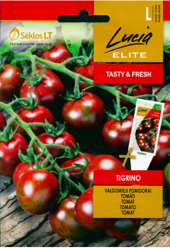 Tomaatti "Tigrino"
