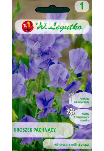 Lillhernes rippuv "Blue lavender"