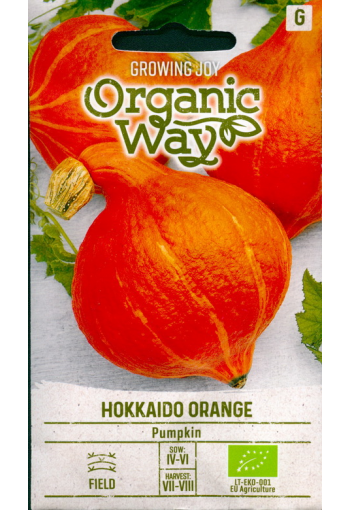 Jättikurpitsa "Hokkaido Orange"